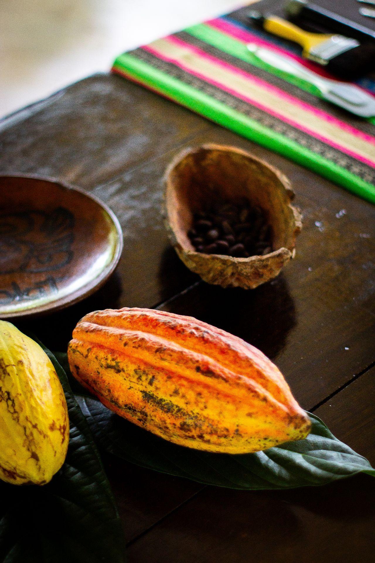 Cacao Image