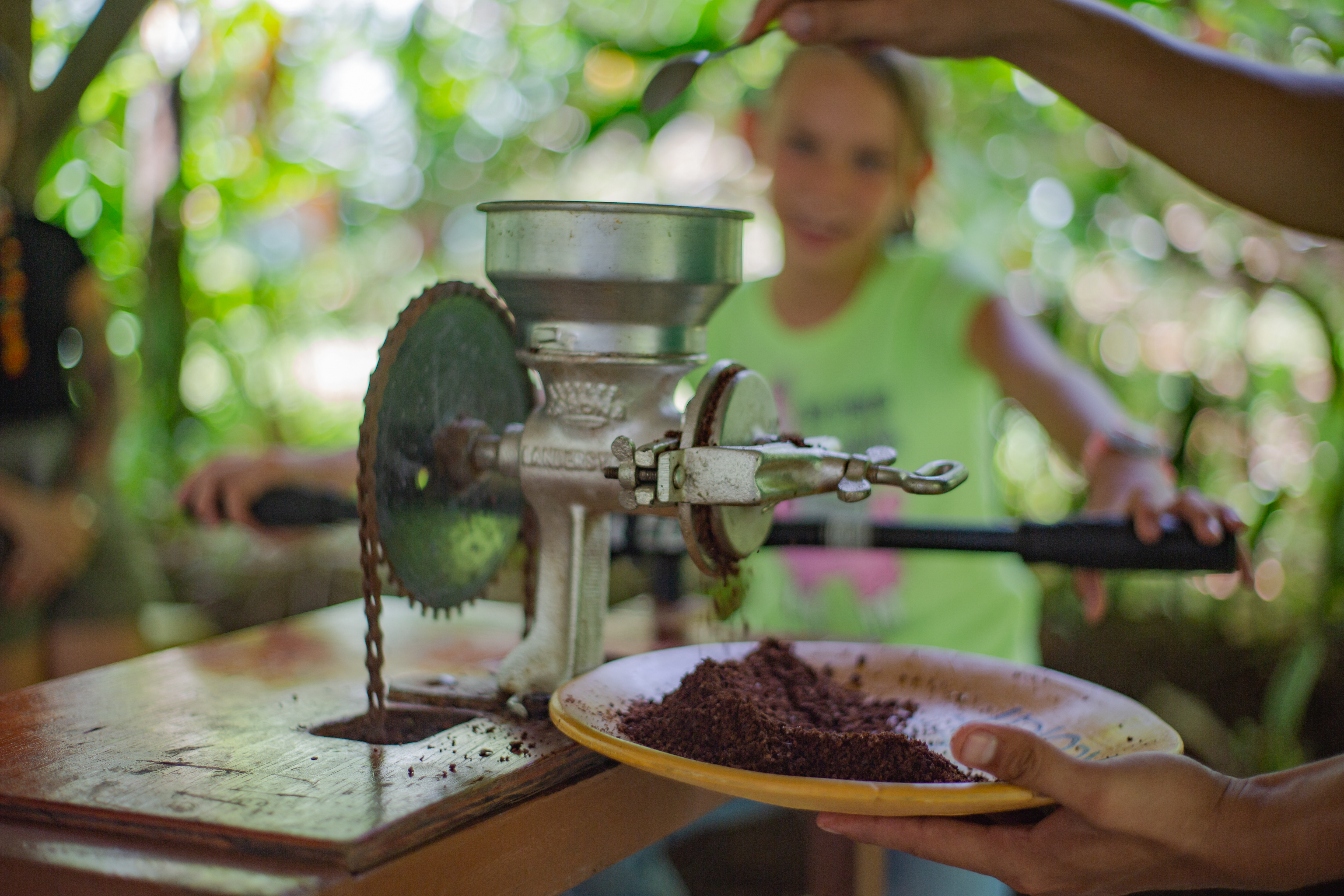 Cacao process 1